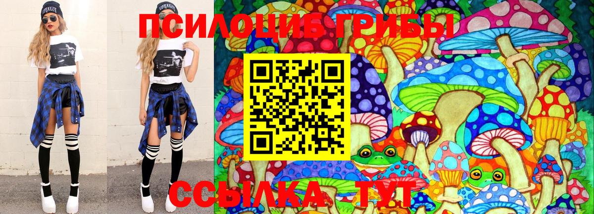 Псилоцибиновые грибы ЛСД Медногорск