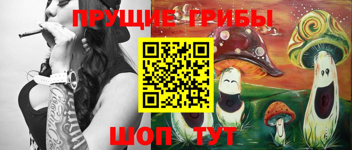 Медногорск  Псилоцибиновые грибы GOLDEN TEACHER  Вход с VPN 